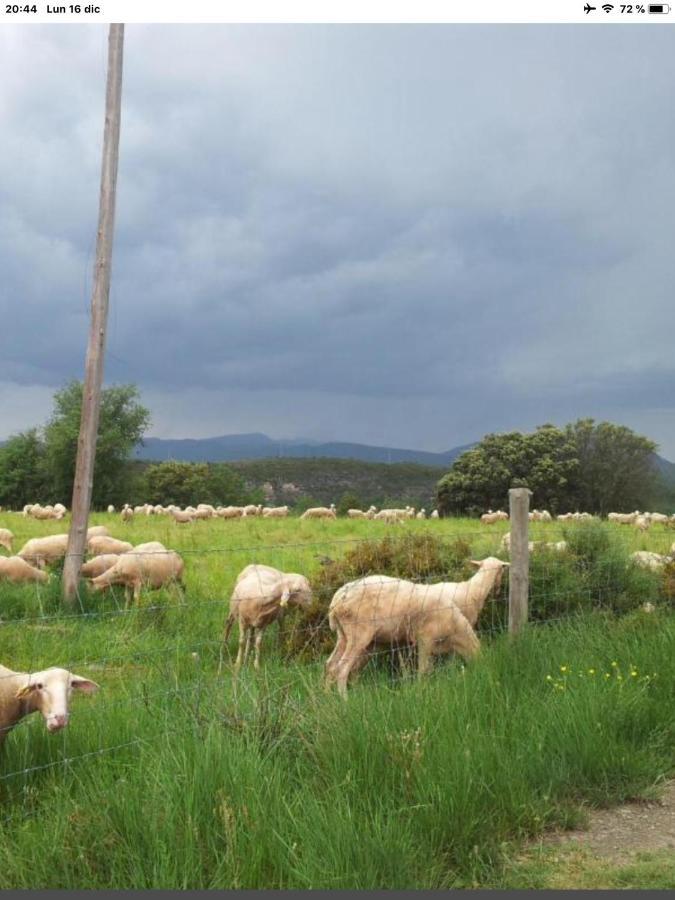 Preciosas Vistas A La Montana, Luminoso Y Acogedor Appartement El Pueyo de Araguás Buitenkant foto