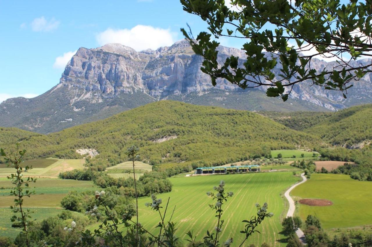 Preciosas Vistas A La Montana, Luminoso Y Acogedor Appartement El Pueyo de Araguás Buitenkant foto